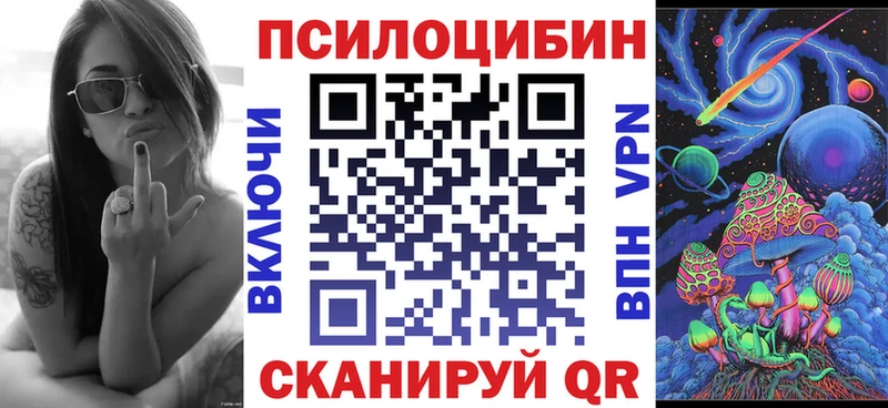 Псилоцибиновые грибы Cubensis Норильск
