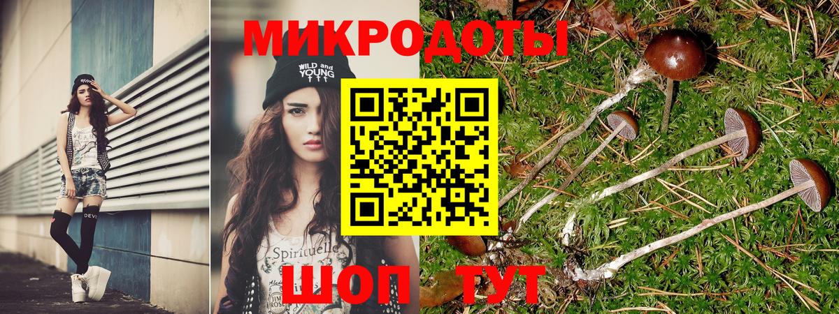 Псилоцибиновые грибы ЛСД Норильск